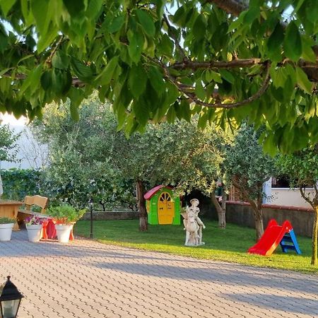 Apartmani Sanja Vrsi Bagian luar foto