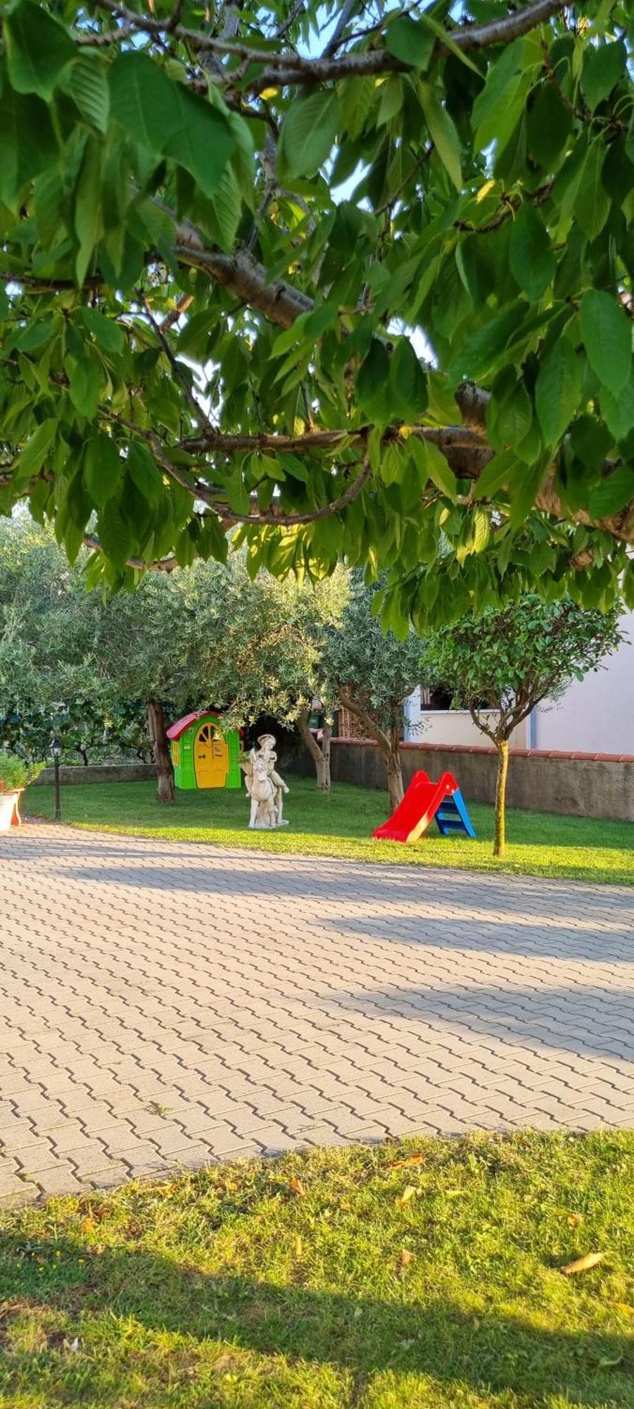 Apartmani Sanja Vrsi Bagian luar foto